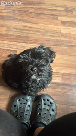 Szombathely Welther Károly utca43