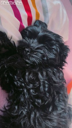 Szombathely Welther Károly utca43