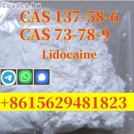 CAS 137-58-6 Lidocaine Factory Supplied High