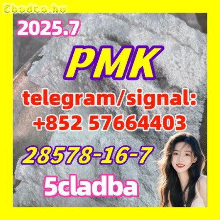 New PMK Powder CAS 28578-16-7  Factory Supply