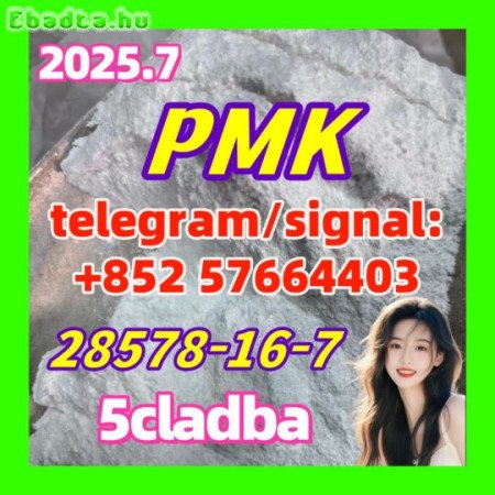 28578-16-7 pmk oil pmk powder ethyl glycidate