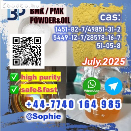 New BMK PMK CAS 5449-12-7 Toppest Factory Supplier