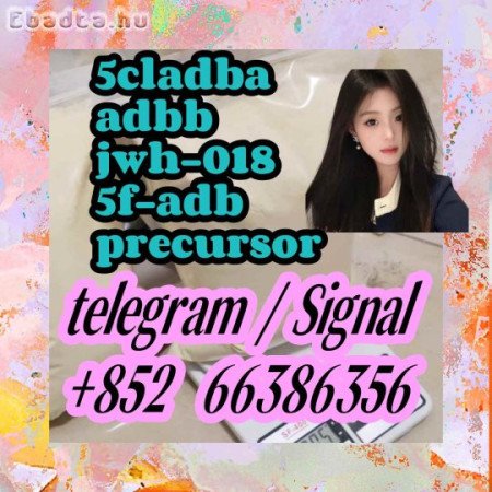 5cladba adbb jwh-018 5f-adb precursor  让他人的人台风