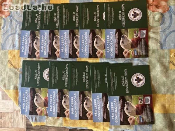 Kuvasz fajta jellegű kiskutyák