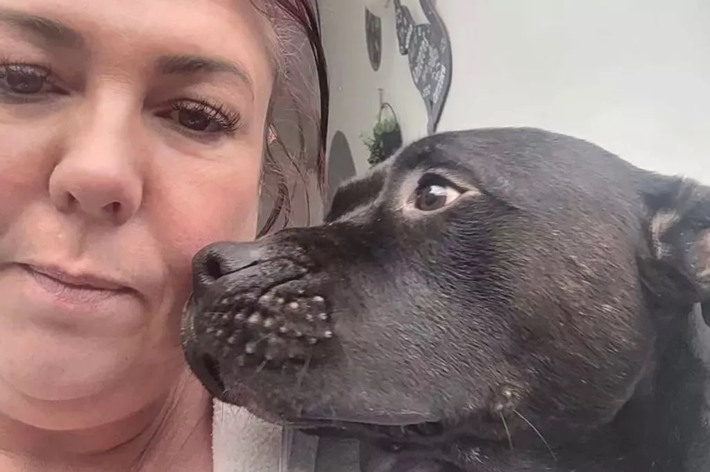 Segíteni akart, mégis tragédiával végződött