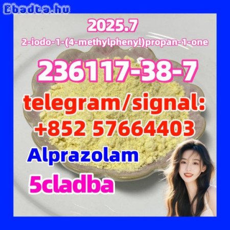 236117-38-7 2-iodo-1-(4-methylphenyl)propan-1-one