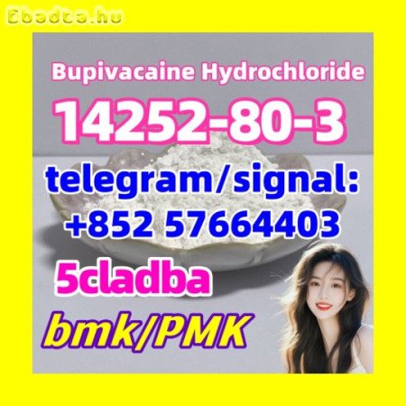 14252-80-3 Bupivacaine Hydrochloride 5cladba 5fadb