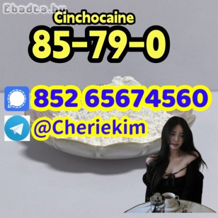 85-79-0，Cinchocaine；1451-82-7