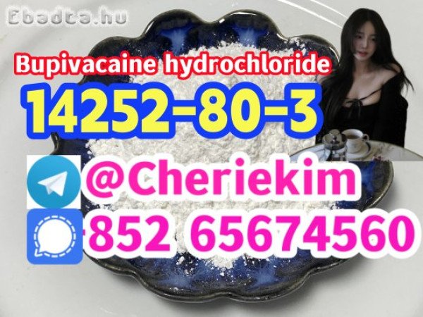 14252-80-3，Bupivacaine hydrochloride