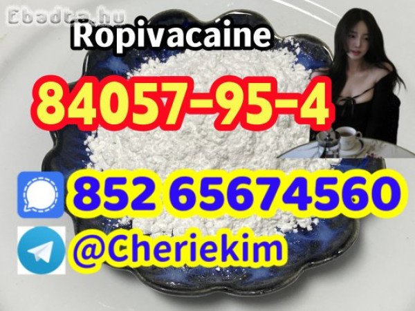 84057-95-4，Ropivacaine ；2180-92-9