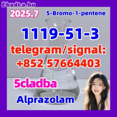 1119-51-3 5cladba 5fadb adbb  5-Bromo-1-pentene