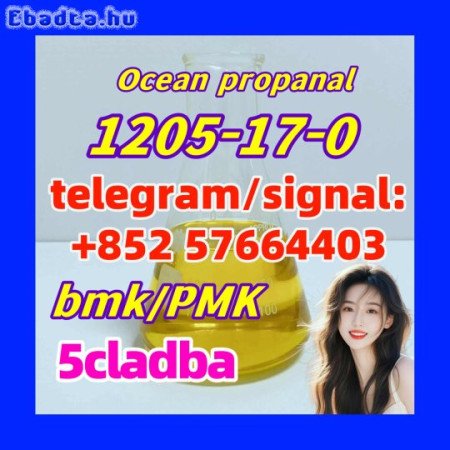 1205-17-0  Ocean propanal