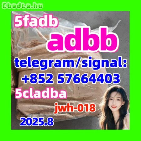 CAS 137350-66-4 Top Supplier 5cladba 5cl-adb-a