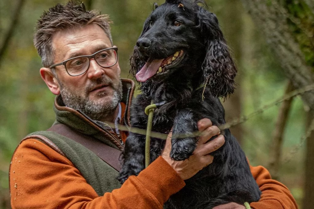 Kutyák pusztultak el a forró autóban