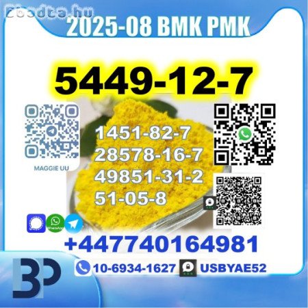 BMK glycidic acid 5449-12-7 PMK Source factory