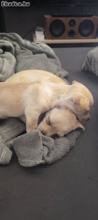 Csivava kislányok Vas megyében