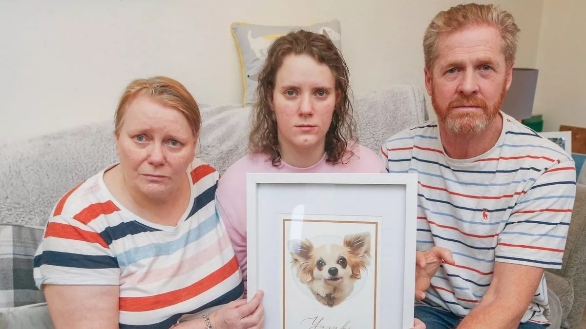 A család úgy érzi elvesztették a gyereküket a kiskutya halálával