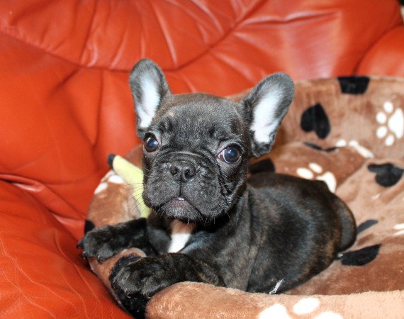 Budapest, XX. kerület