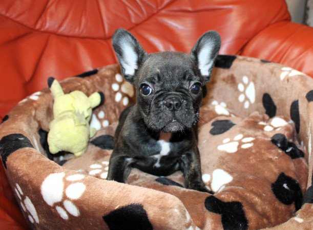 Budapest, XX. kerület