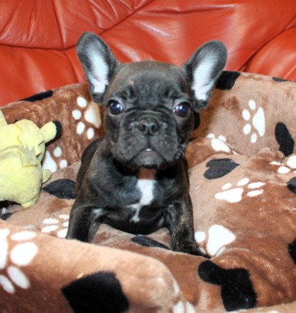 Budapest, XX. kerület