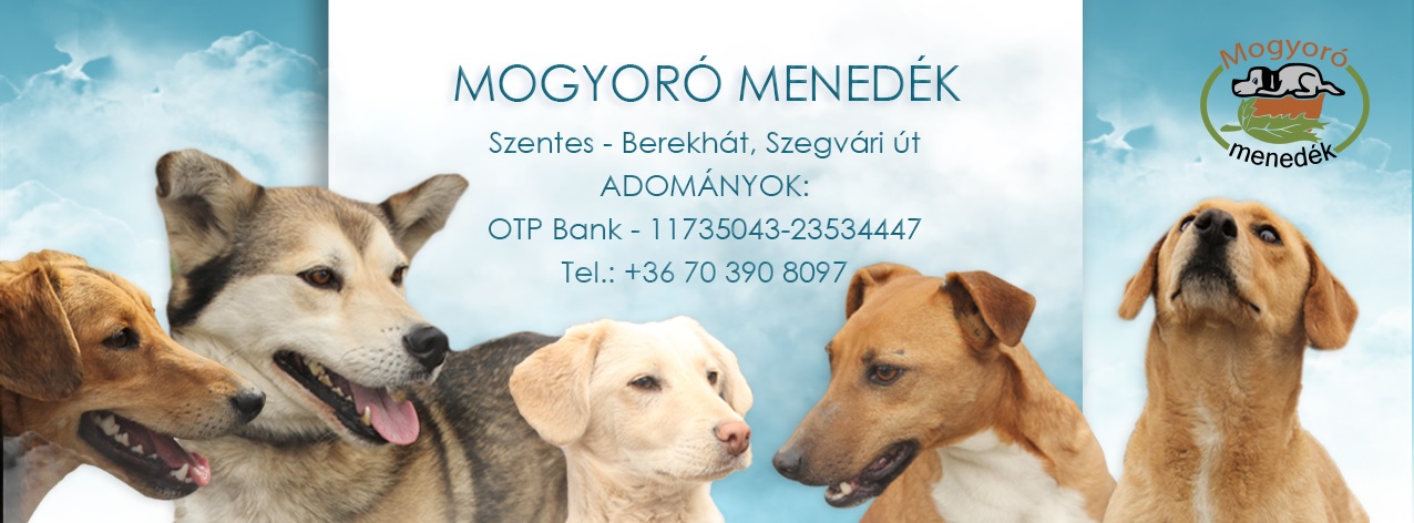 Mogyoró Menedék Szentes