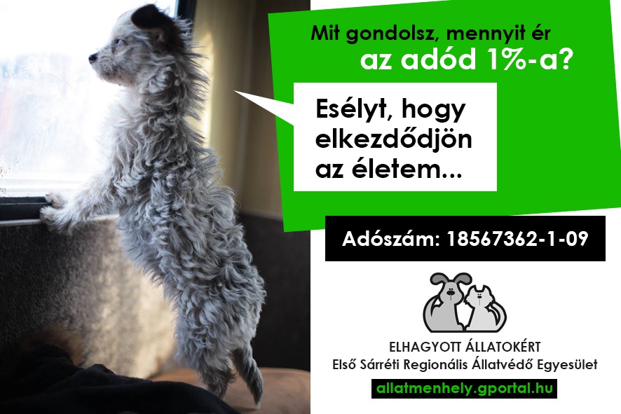 Elhagyott Állatokért Első Sárréti Regionális Állatvédő Egyesület