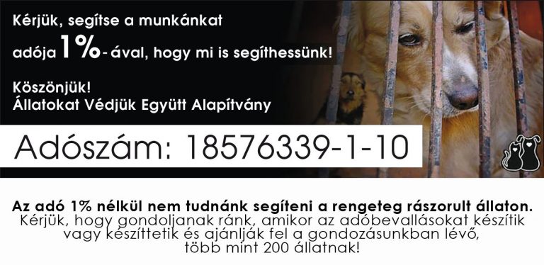 Állatokat Védjük Együtt Alapítvány