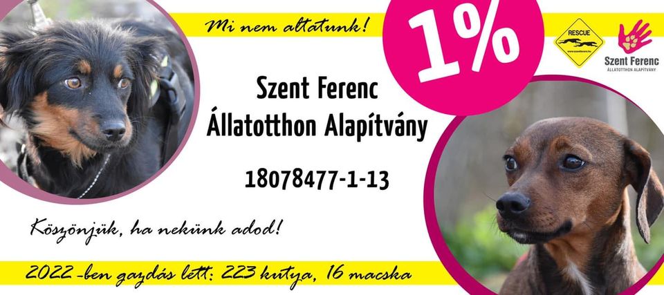 Szent Ferenc Állatotthon Alapítvány