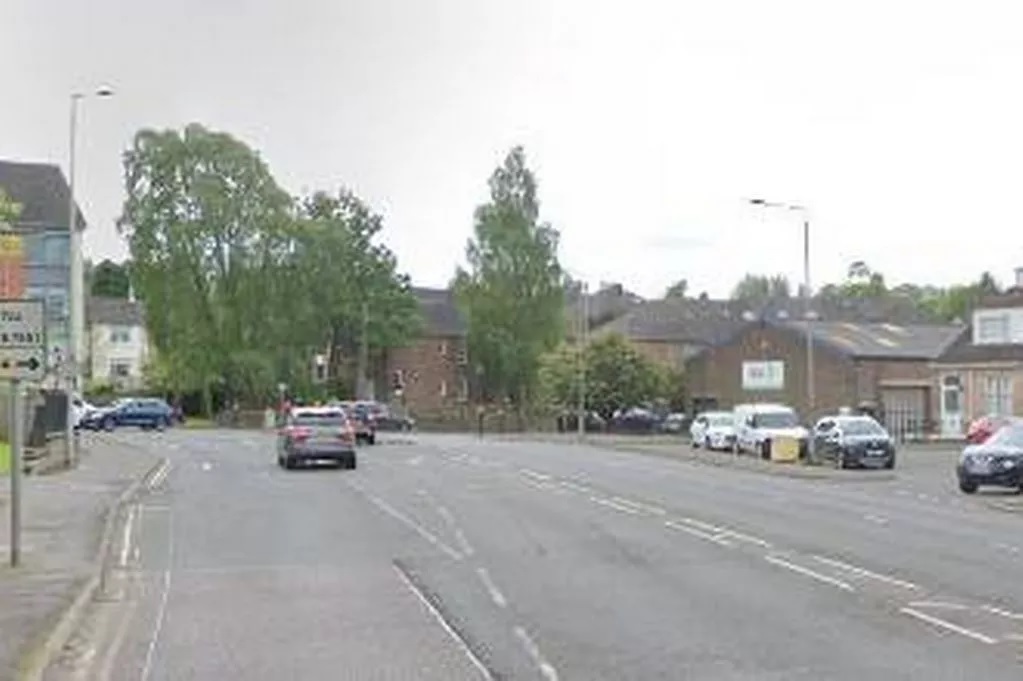 Kórházban kötött ki, miután kutyafalka támadt rá