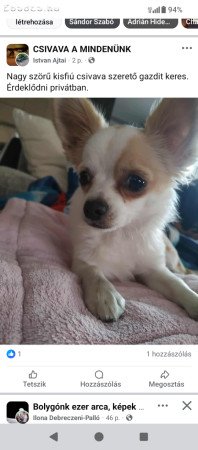 ajtaiistvan86@gmail.com