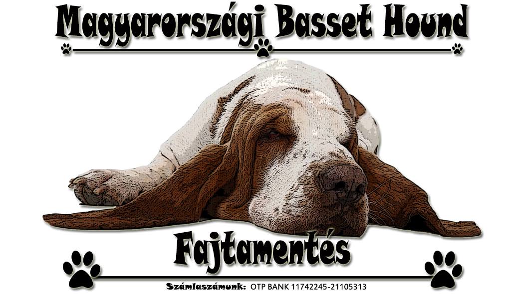 Basset Hound Fajtamentő alapítvány