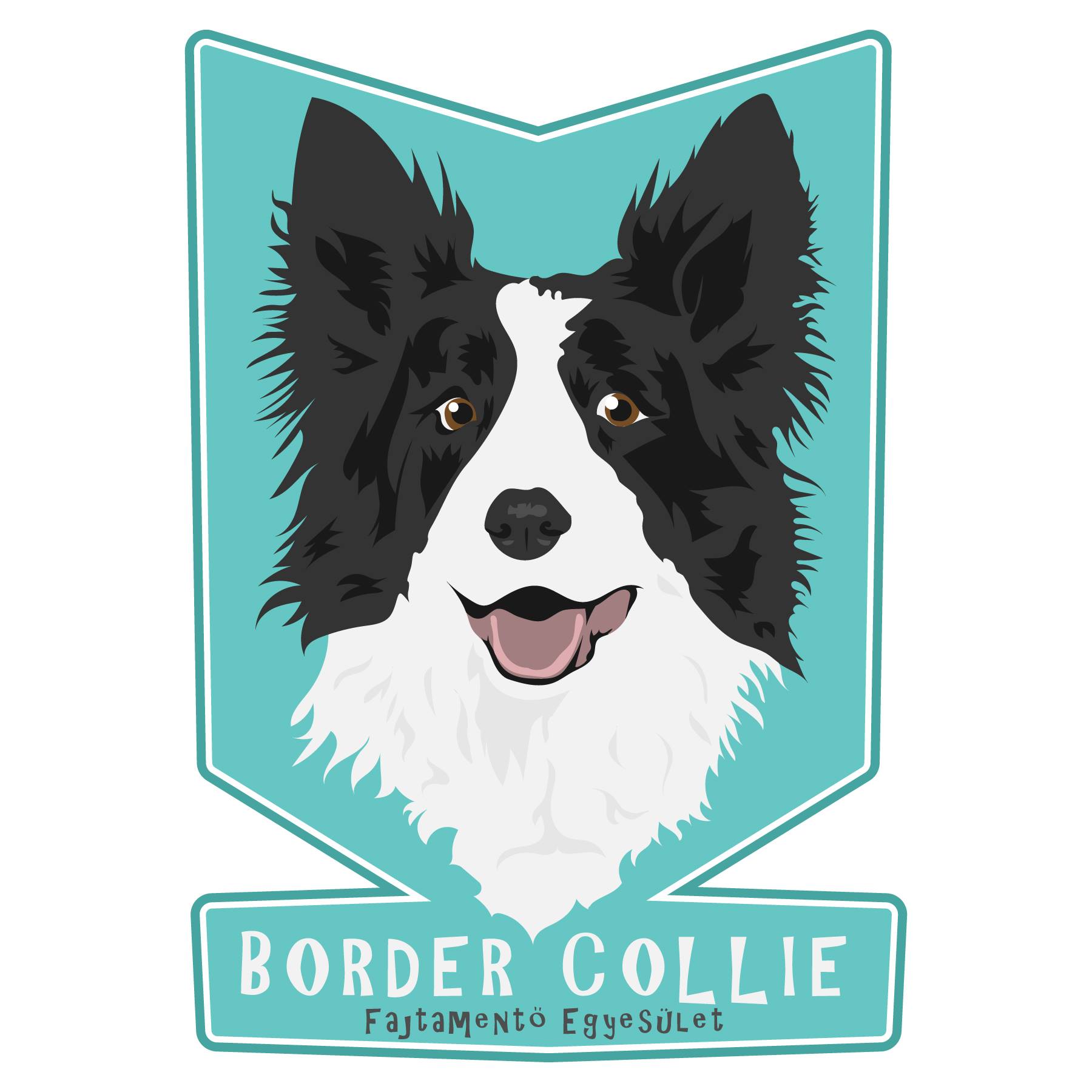 BC /Border Collie/ Fajtamentő Egyesület