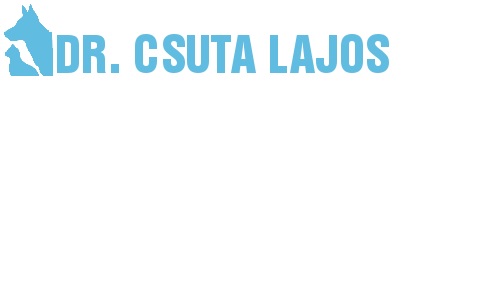 Dr. Csuta Lajos állatorvosi rendelője