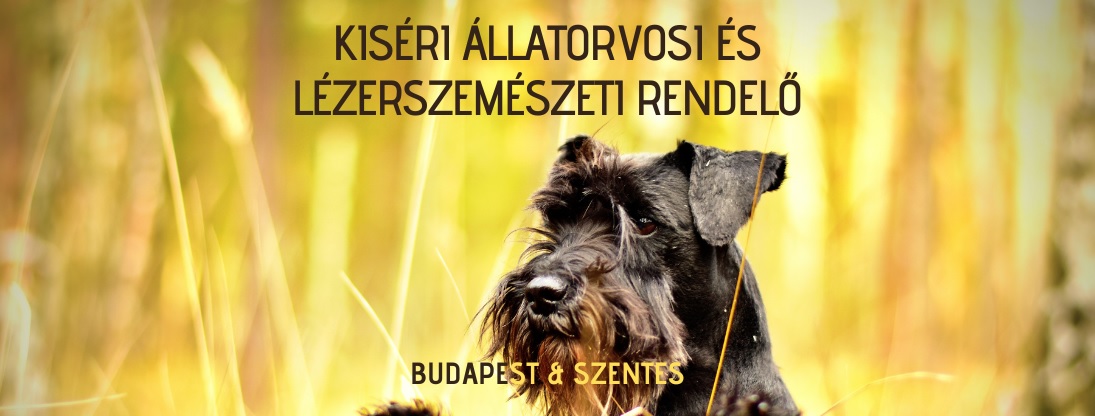 Kiséri Állatorvosi és Lézerszemészeti Szakrendelő - Szentes