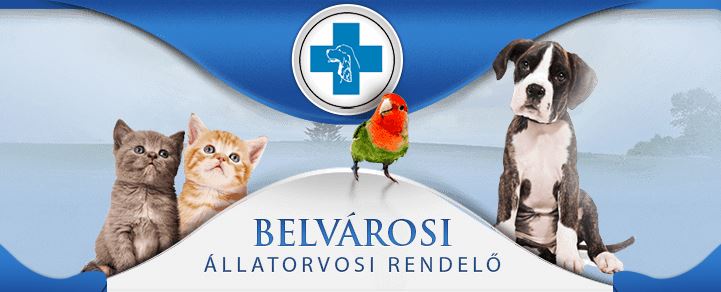 Belvárosi Állatorvosi Rendelő Szeged