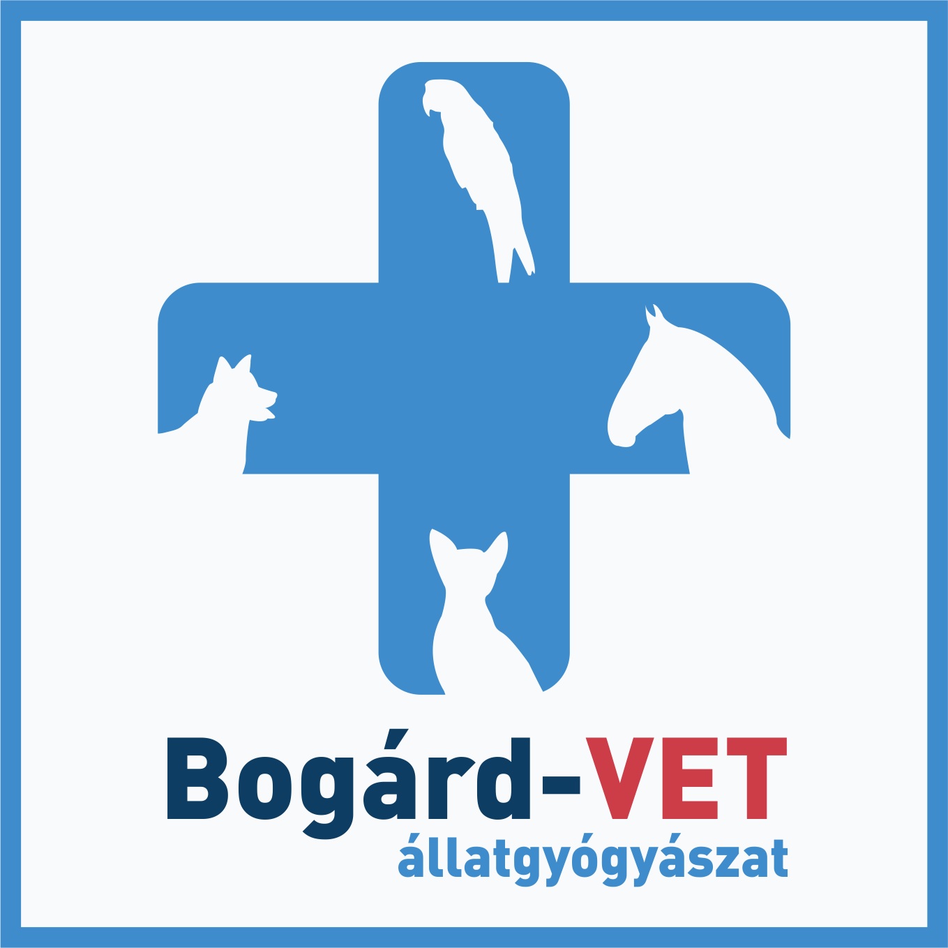 Bogárd-VET | Állatgyógyászat, Állatorvosi rendelő