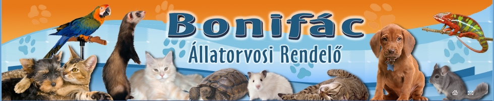 Bonifác Állatorvosi Rendelő