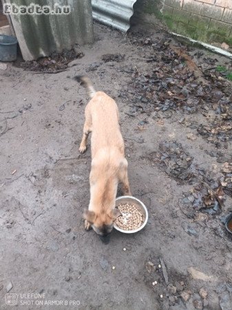 Hely hiány miatt eladó