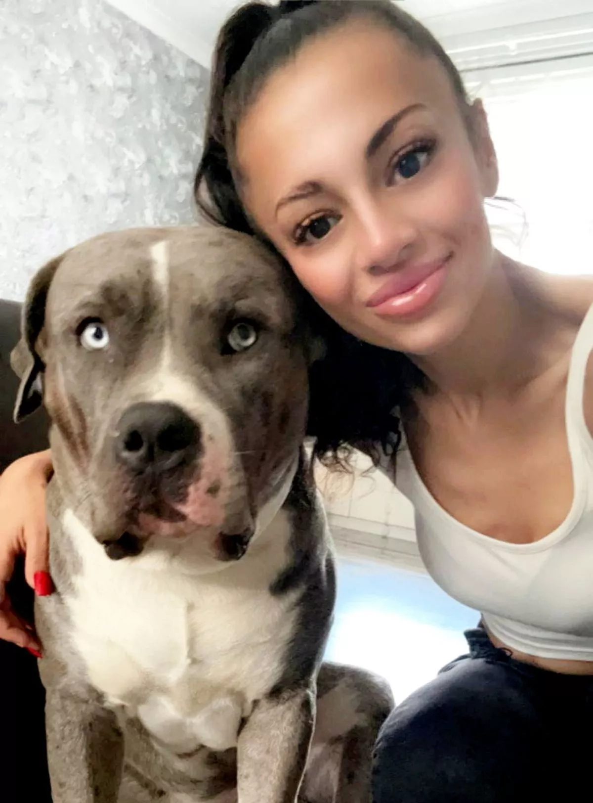 Rendőrökre támadt egy kutya