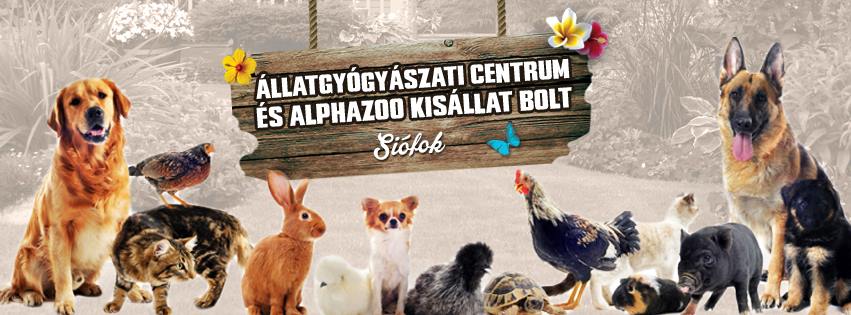 SIÓFOKI ÁLLATGYÓGYÁSZATI CENTRUM