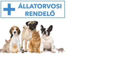 BO-KA Vet Állatorvosi Rendelő