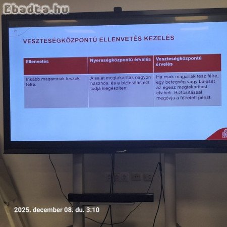 Fél éves drótszőrű Tacsi kan kölyök