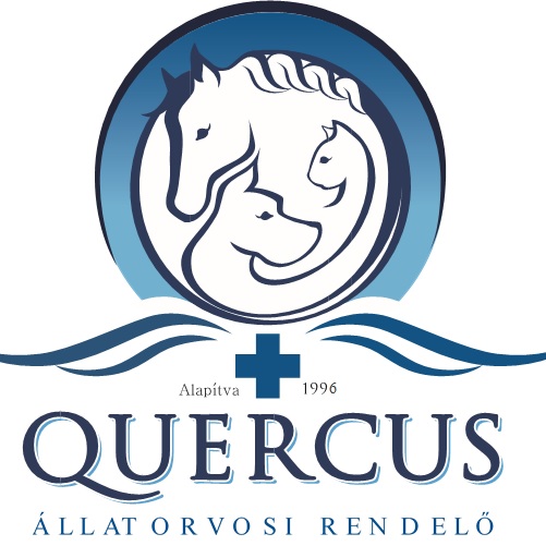 Quercus Állatorvosi Rendelő