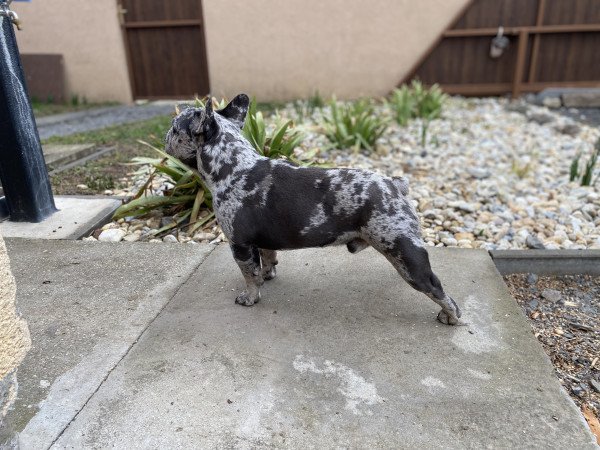 Barátság extrákkal Rockyval