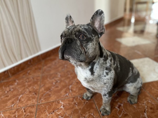 Barátság extrákkal Rockyval