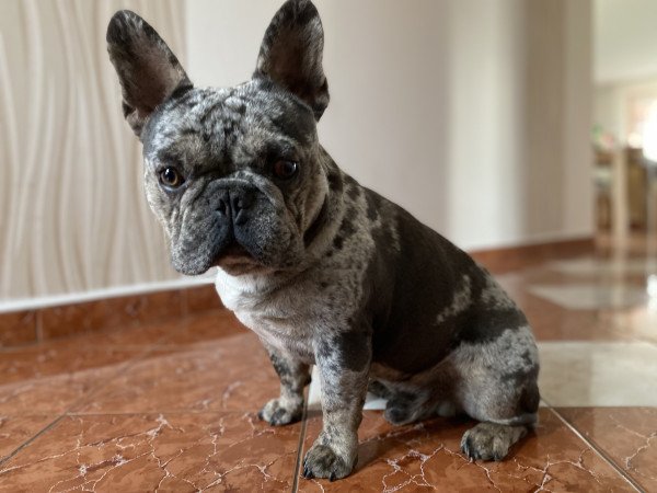 Barátság extrákkal Rockyval