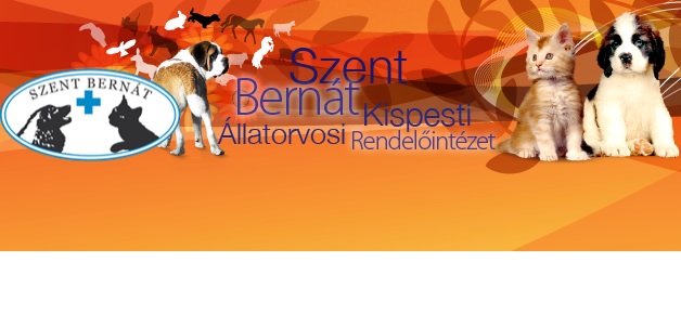 Szent Bernát Kispesti Állatorvosi Rendelő