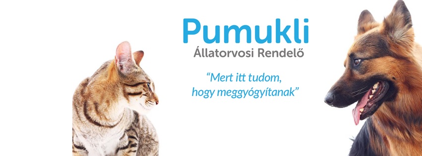 Pumukli Állatorvosi Rendelő