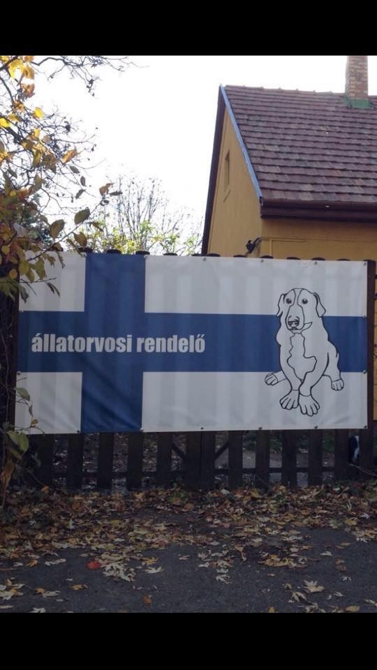 Rákoskerti Állatorvosi Rendelő