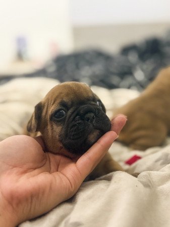 6000 Kecskemét Irsai Olivér utca 44/c